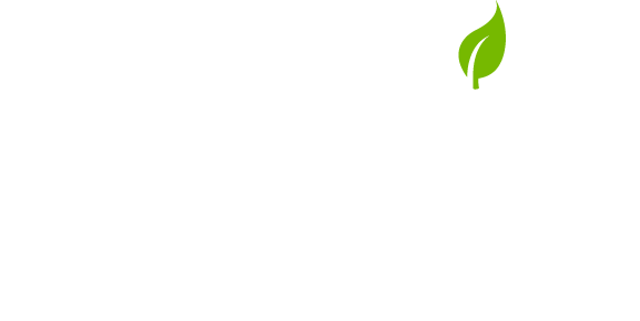 Rootwire